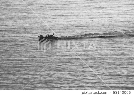 海 65140066