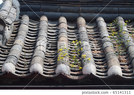 Korean landscape Korean landscape 65141311