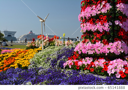 Yokohama · Yamashita Park 65141888
