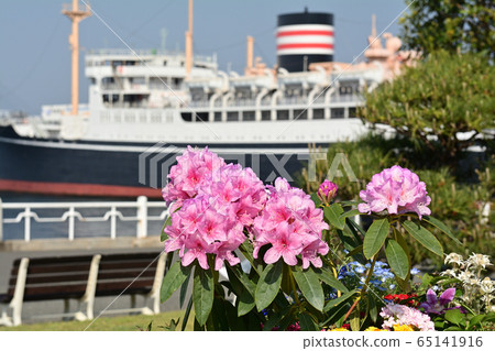 Yokohama · Yamashita Park 65141916