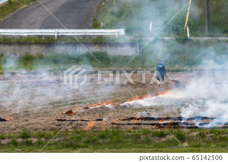 Incineration of rice straw with crop residues due to typhoon flood damage Incineration of rice straw with crop residues due to typhoon flood damage 65142500