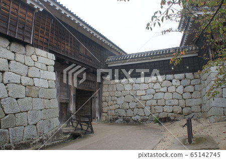 Kochi Castle 65142745