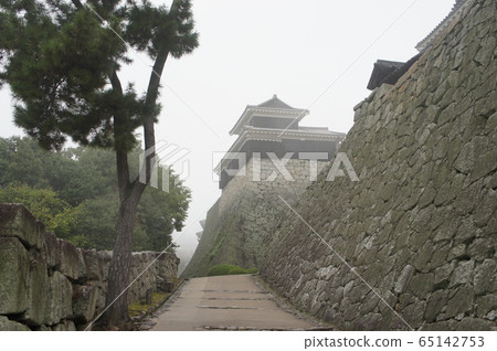 Kochi Castle Kochi Castle 65142753