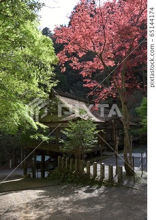 Fresh green Yuki Shrine worship hall Fresh green Yuki Shrine worship hall 65144174