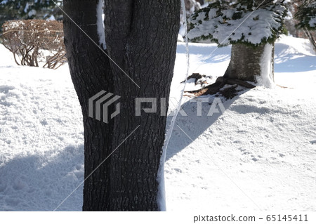 村丘景觀 65145411