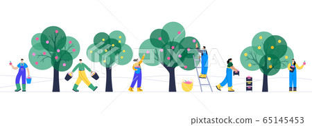 Garden work concept vector  65145453