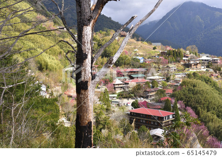 Simacus, God's Tribe, Hsinchu County, Jianshi Township, Sakura, House, Tribe Simacus, God's Tribe, Hsinchu County, Jianshi Township, Sakura, House, Tribe 65145479