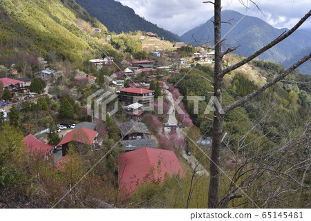 Simacus, God's Tribe, Hsinchu County, Jianshi Township, Sakura, House, Tribe Simacus, God's Tribe, Hsinchu County, Jianshi Township, Sakura, House, Tribe 65145481