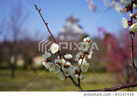 長濱城 長濱城 65147438