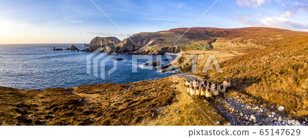 Aerial view of the beautiful coast by Port in County Donegal - Ireland 65147629