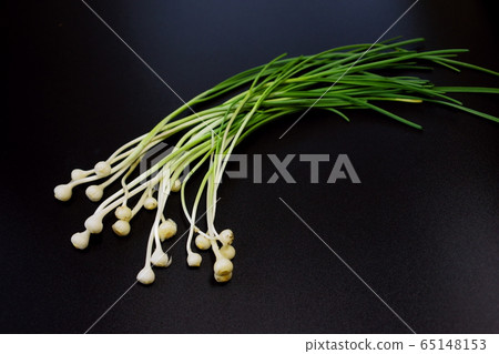 野生野草，野蒜 65148153