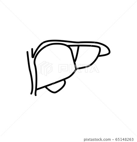 Human liver sign. Simple line vector icon. Human liver sign. Simple line vector icon. 65148263