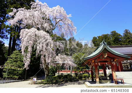 Shiogama Shrine (Shibahiko Shrine) Shiogama Shrine (Shibahiko Shrine) 65148308