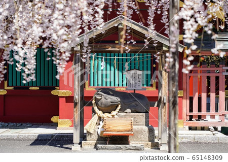 Beef stroked at Shiogama Shrine, which has the benefit of prosperous business [Ichimoriyama, Shiogama City, Miyagi Prefecture] 65148309