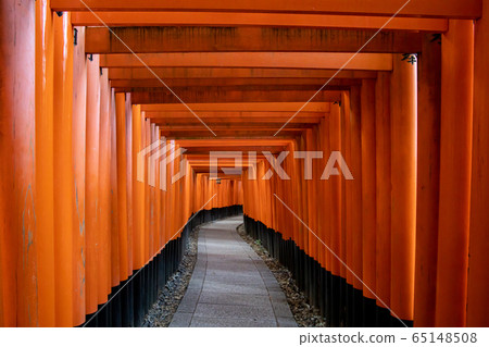 Torii of Fushimi-Inari Taisha Shrine 65148508
