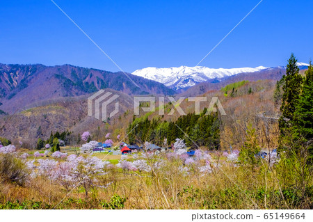 Sakura no Sato and Snow Mountain 1 Sakura no Sato and Snow Mountain 1 65149664