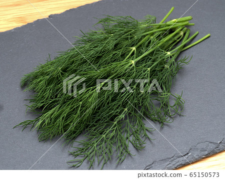 草藥蒔蘿 65150573