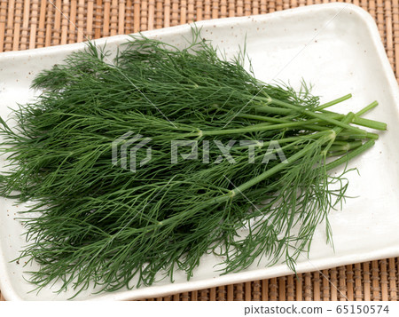 草藥蒔蘿 草藥蒔蘿 65150574