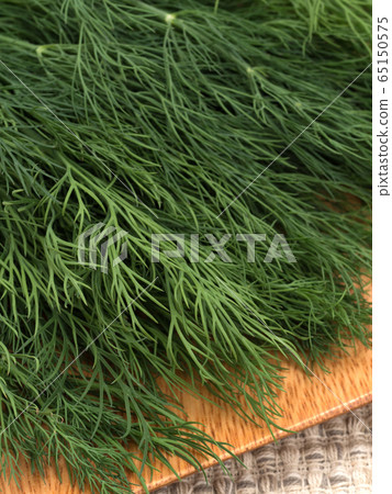 草藥蒔蘿 草藥蒔蘿 65150575