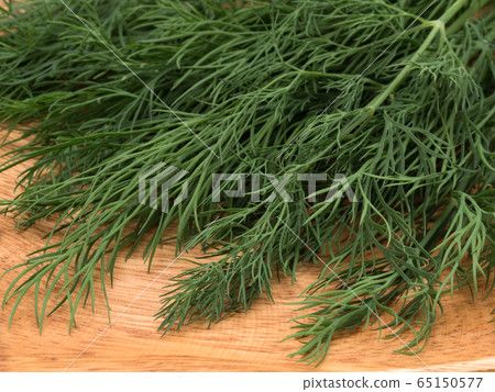 草藥蒔蘿 草藥蒔蘿 65150577