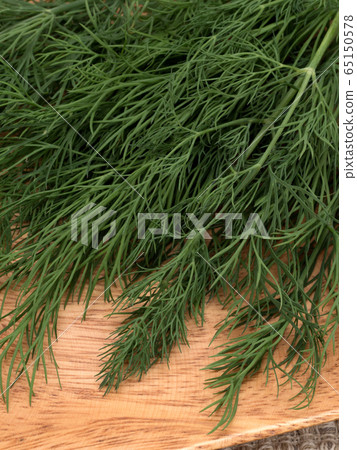 草藥蒔蘿 草藥蒔蘿 65150578