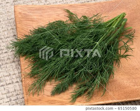 草藥蒔蘿 草藥蒔蘿 65150580