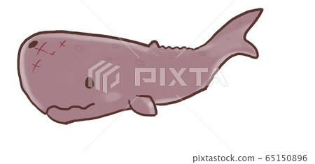 R: A cute fairy tale sperm whale ☆ A 65150896