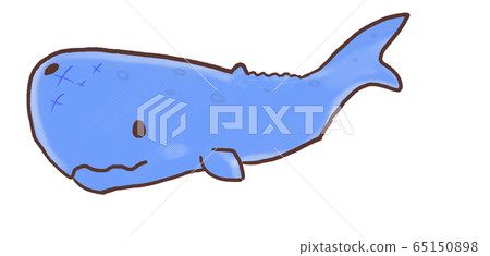 R: Cute fairy tale sperm whale ☆ C 65150898