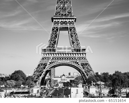 Paris Eiffel Tower and Champs de Mars park monochrome Paris Eiffel Tower and Champs de Mars park monochrome 65151654