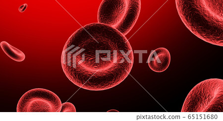 紅血細胞 65151680