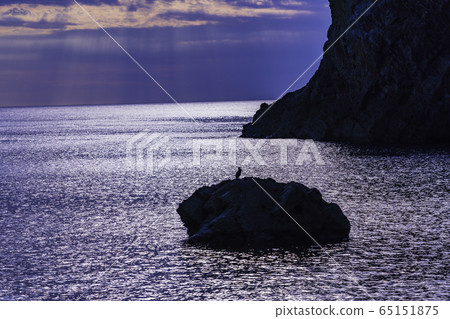 （靜岡縣）西伊豆淺之門海灘海鳥夜景 65151875