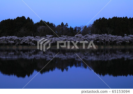 Spring flat tube swamp 65153094