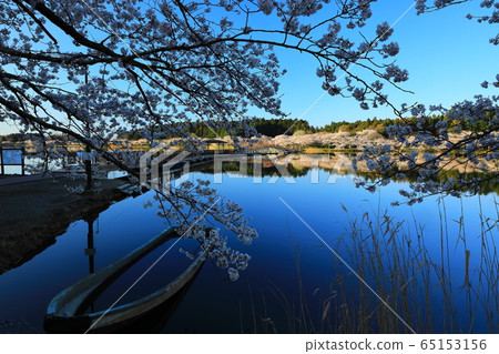 Spring flat tube swamp 65153156