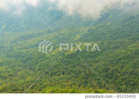 Landscape nature in Phu Thap Boek Thailand. Landscape nature in Phu Thap Boek Thailand. 65153430