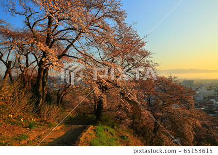 Tsuriyama Park in spring 65153615