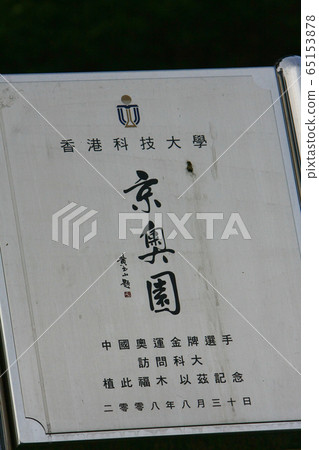 7 Sept 2008 the spring pool at the nature back 65153878