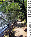 Okishima cherry blossom tunnel summer 65154089