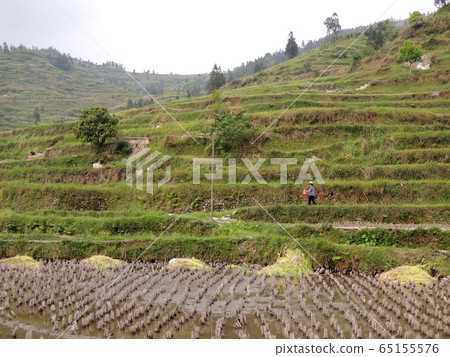 Guizhou Province, China Guizhou Province, China 65155576