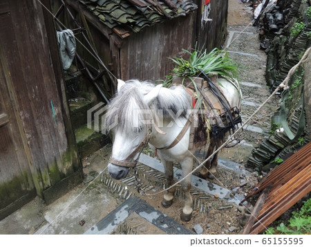 中國貴州省 65155595