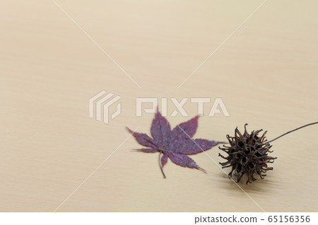 1 maple leaf and 1 maple 1 maple leaf and 1 maple 65156356