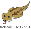 Illustration of cute Tsuchinoko 65157731