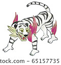 Illustration of a cool white tiger 65157735
