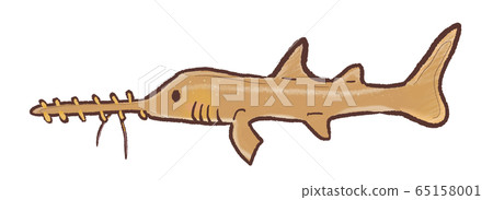 R：可愛的鯊魚C 65158001