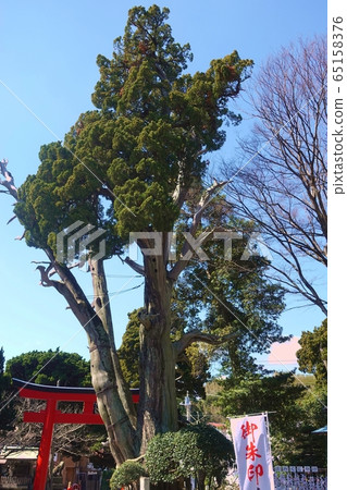 白森森林白濱神社 白森森林白濱神社 65158376