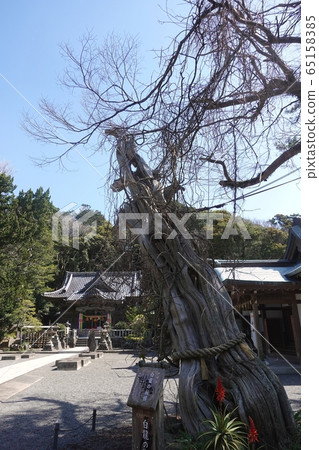 Shimori Forest Shirahama Shrine 65158385