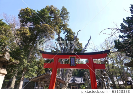 Shimori Forest Shirahama Shrine 65158388