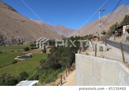 智利埃爾基山谷 65158488