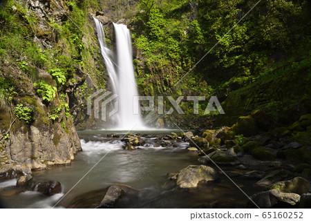 Waterfall of Gotazi (Fukui City, Fukui Prefecture) 65160252