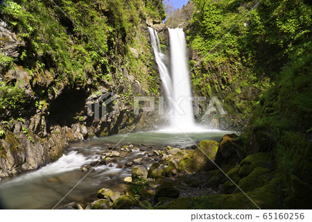 Waterfall of Gotazi (Fukui City, Fukui Prefecture) 65160256