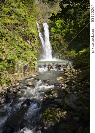 Waterfall of Gotazi (Fukui City, Fukui Prefecture) 65160264